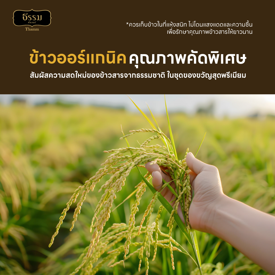 ชุดของขวัญ ธรรม คัลเจอร์ THAMM Organic Gift set Storybook ข้าวหอมมะลิล้านนา รวม 700 กรัม 1 ชุด